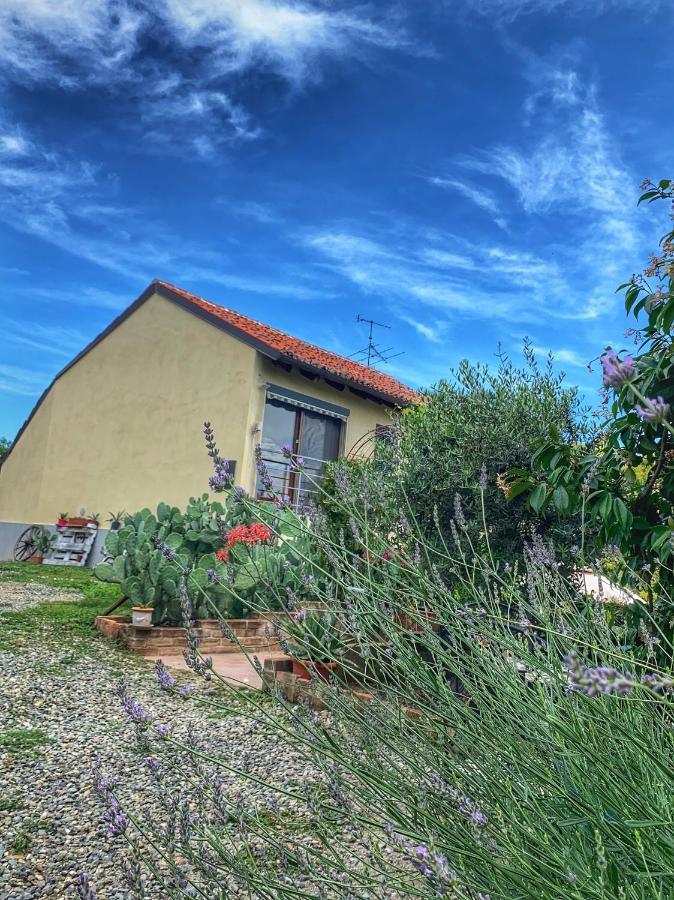 Ca' Degli Ovi B&B Valenza Ngoại thất bức ảnh