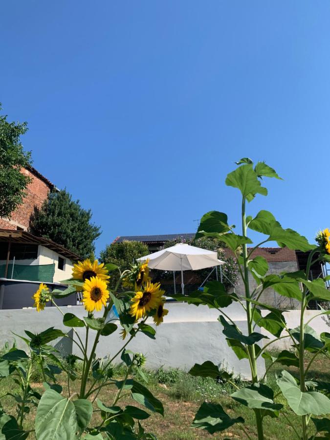 Ca' Degli Ovi B&B Valenza Ngoại thất bức ảnh