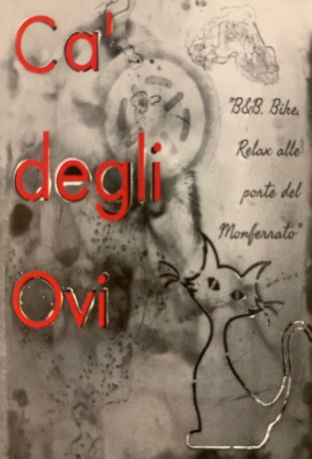 Ca' Degli Ovi B&B Valenza Ngoại thất bức ảnh