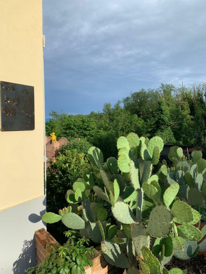 Ca' Degli Ovi B&B Valenza Ngoại thất bức ảnh